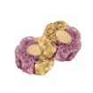 Calming Woofa Loofa