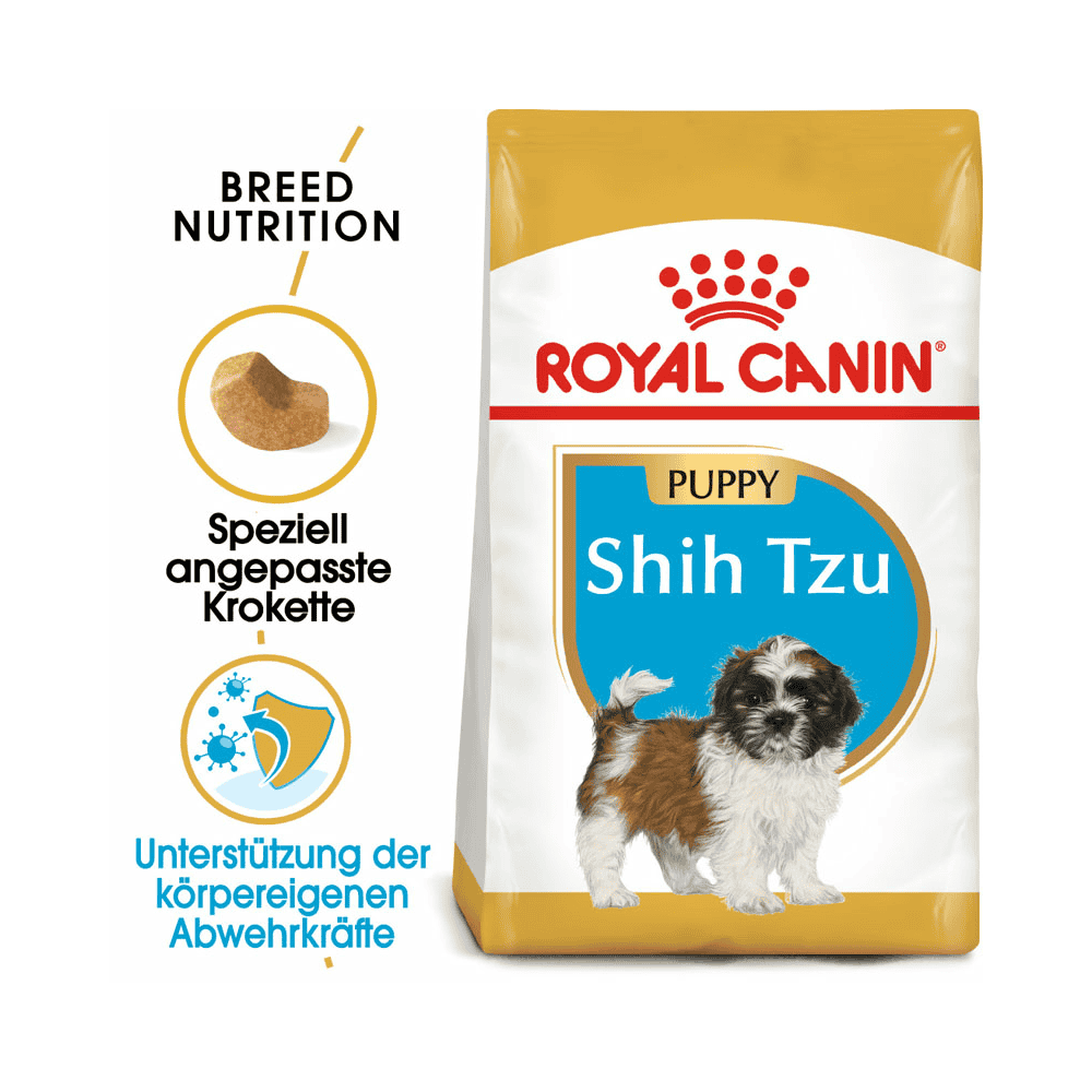 Shih Tzu Puppy