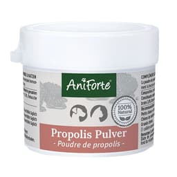 Poudre de Propolis