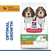 Puppy Medium Breed Chicken
