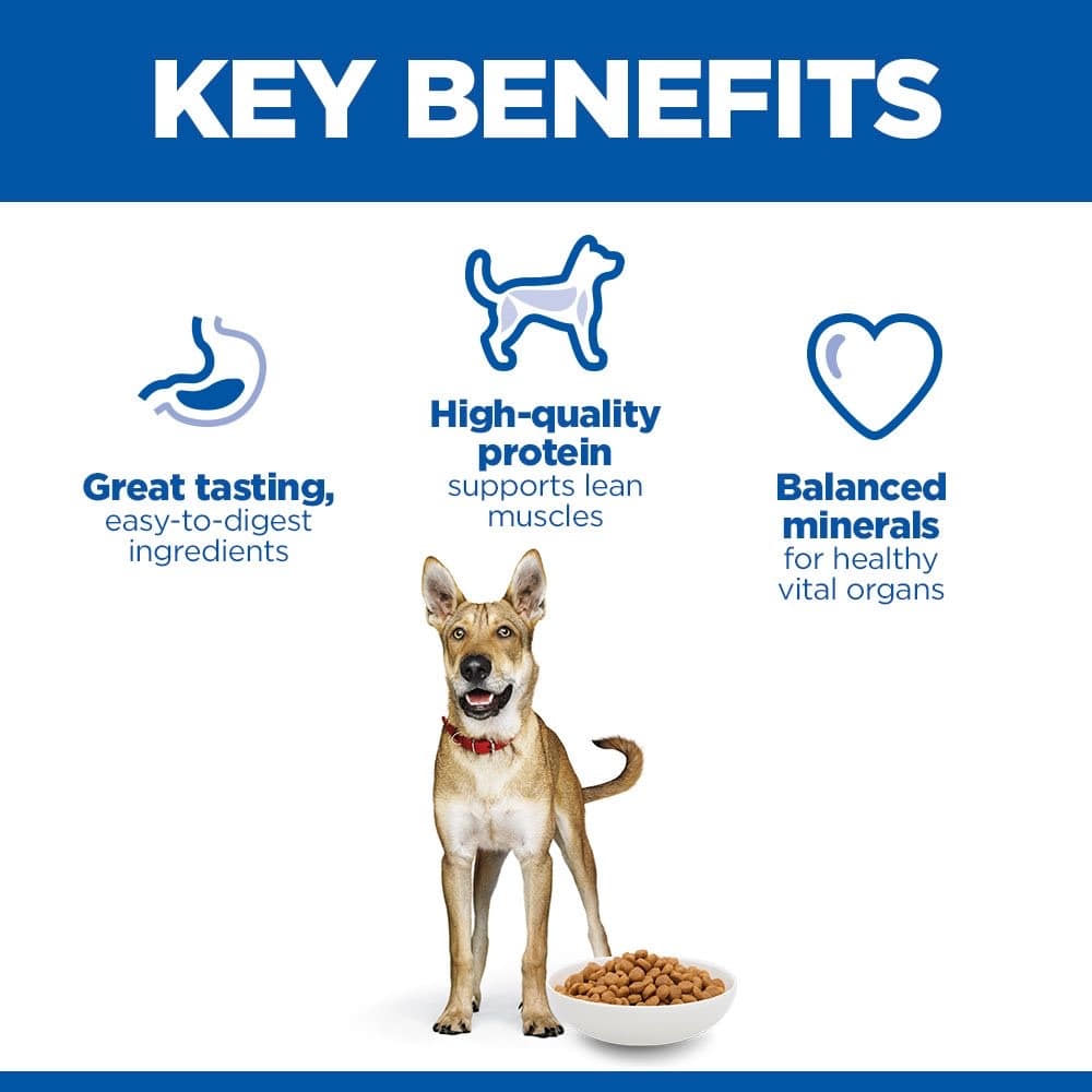 Canine Performance Adult