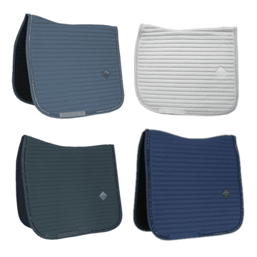 Chabraque Pearls demi-sang/dressage