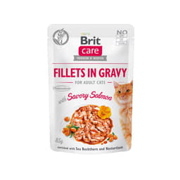 Care Cat - Fillets in Gravy with Savory Salmon