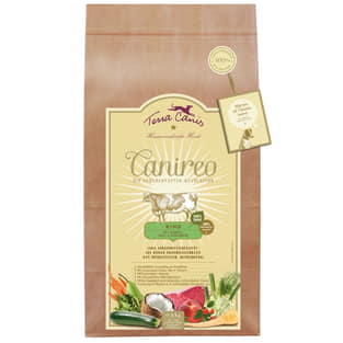 Canireo mit Rind