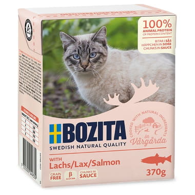 Cat Bouchées en sauce avec saumon