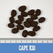 Cape Kid Puppy Large Turkey &amp; Salmon