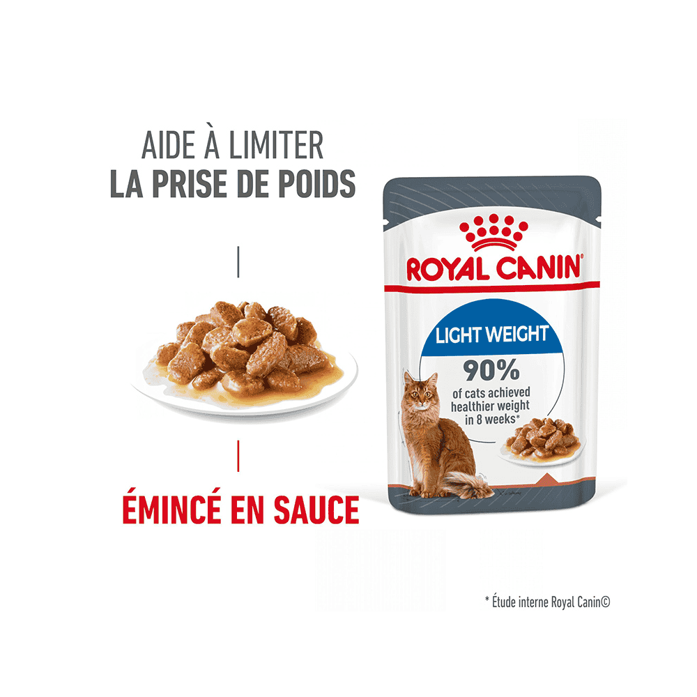 Light Weight Care Gravy - Sachet