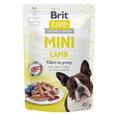 Care Mini Lamb