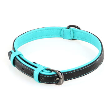 Collier & laisse Dover