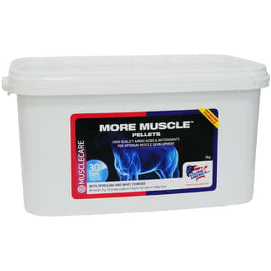 More Muscle