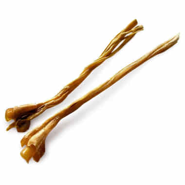 Straussen Langsehnen