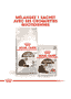 Ageing Sterilised 12+