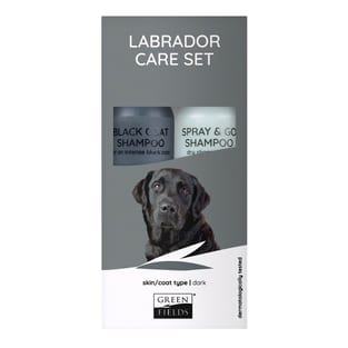Labrador Care Set Dark