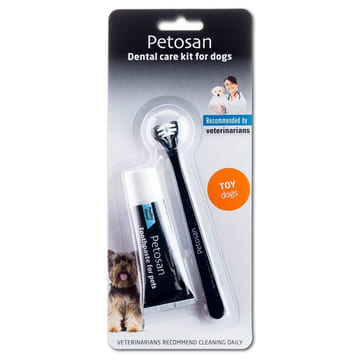 Dental Kit