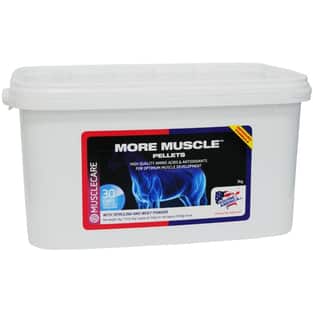 More Muscle