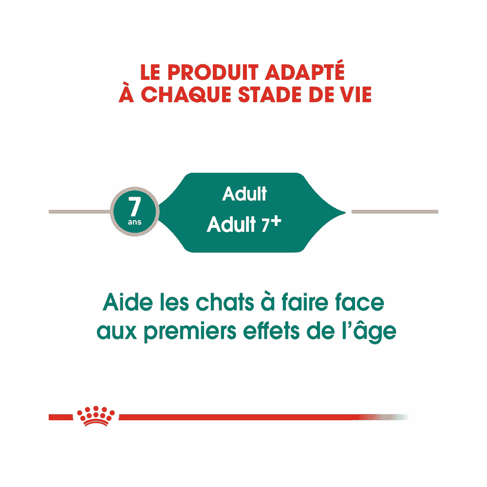 Instinctive 7+ en sauce - sachet
