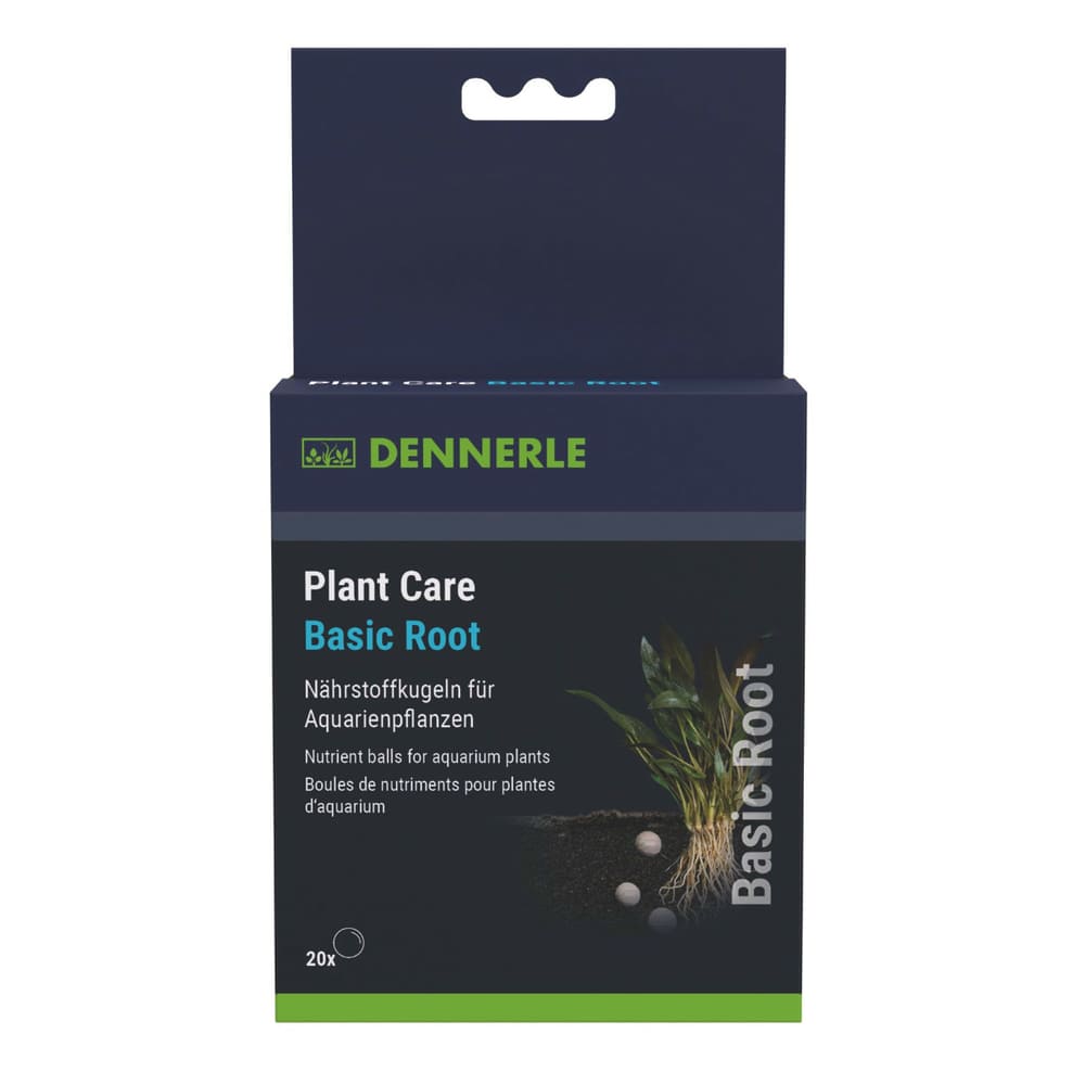 Plant Care Basic Root
