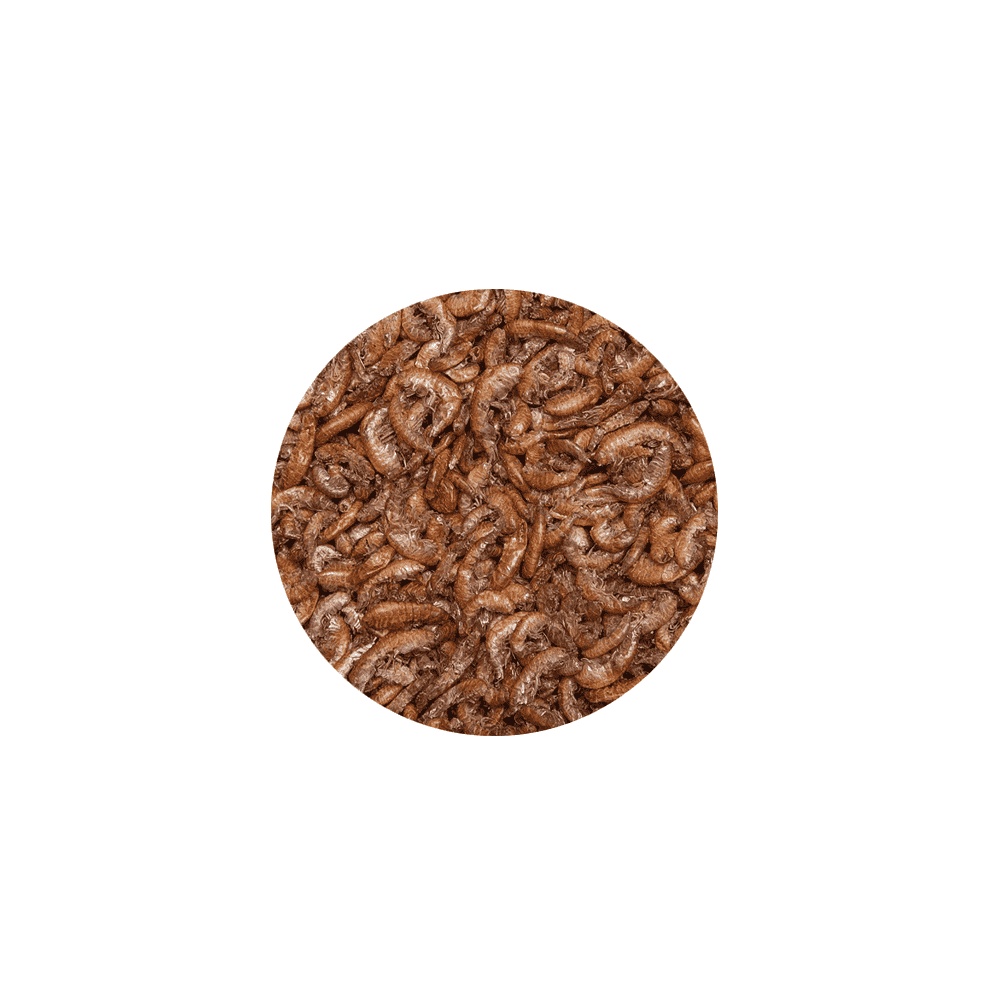 Snacks Gammarus