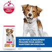 Canine Adult Light Medium Breed