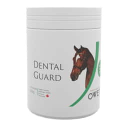 Dental Guard