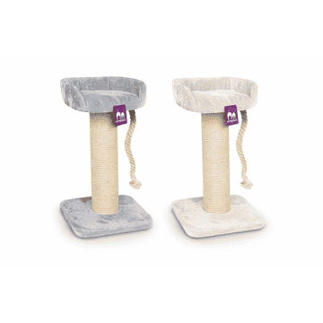The Rebels Maine Coon 100 cat scratcher