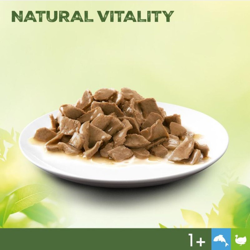 Natural Vitality Adult 1+ Hochseefisch & Truthahn