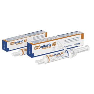 Pro-Enteric Advanced Hund