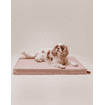Matelas orthopédique pour chiens Chill Dusty Rose