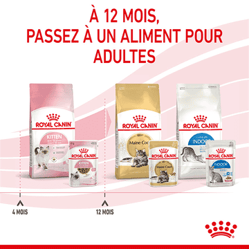 Kitten en sauce - sachet