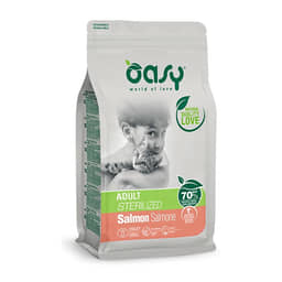 Cat Adult Sterilized