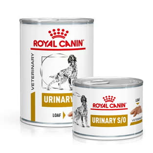 Urinary S/O Dog - Dose