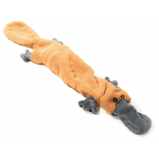 Schlappi Ornithorynque