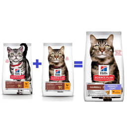 Feline Hairball Indoor Mature Adult 7+