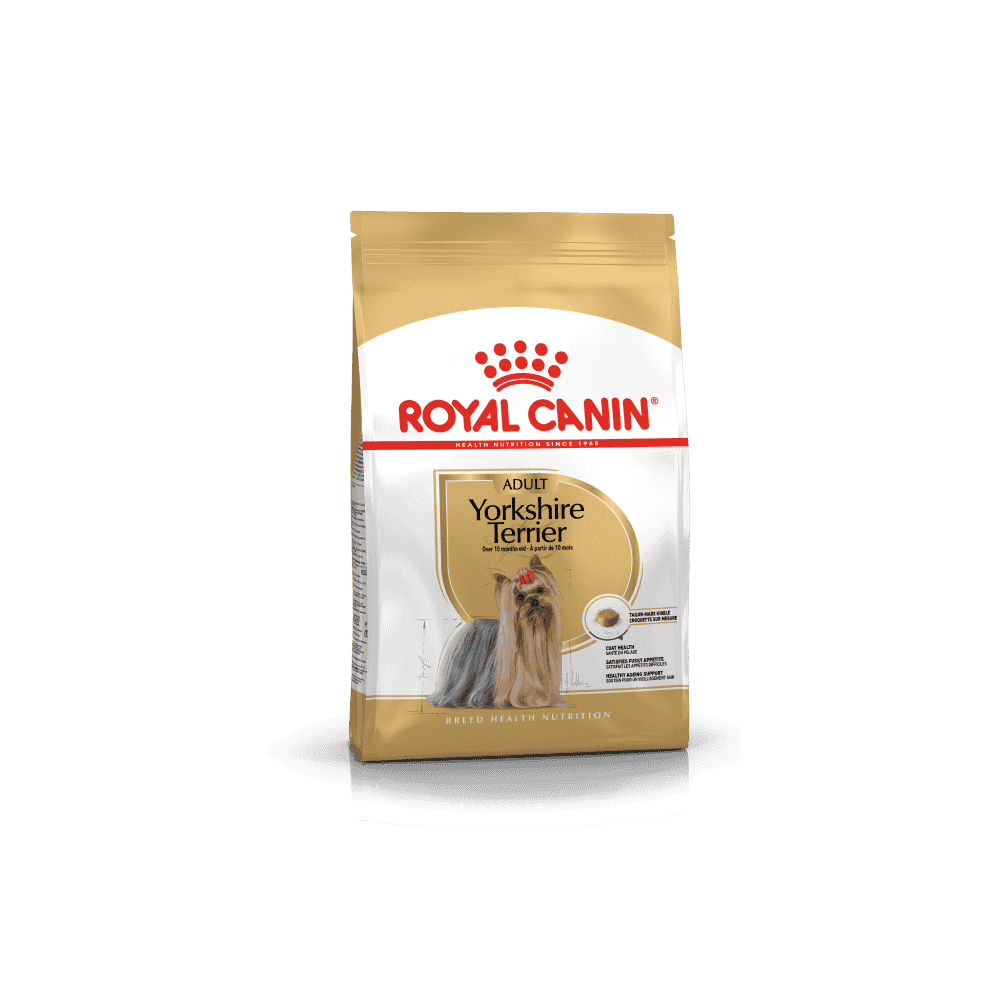Yorkshire Terrier