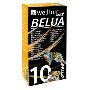 Belua Bandelettes de test des corps cétoniques