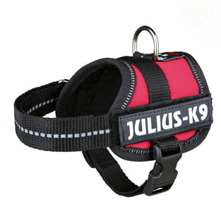 Harnais PowerJulius-K9, Baby 1