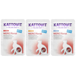 Niere / Renal im Beutel