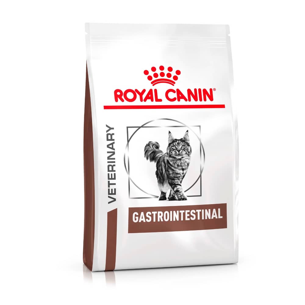 Gastrointestinal Cat