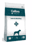Canine Joint & Mobility