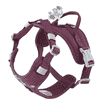 Weekend Warrior Geschirr II ECO Aubergine