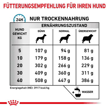 Anallergenic Dog