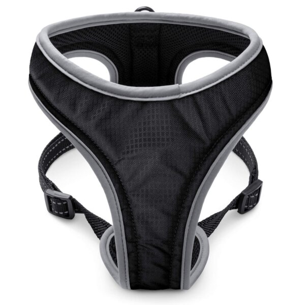 Geschirr Sport Soi Uni schwarz