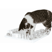 Cat Activity Fun Board