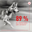 Joint & Ageing Chews Adult Supplements