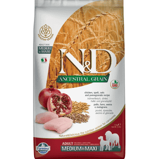 Canine Adult Medium/Maxi Huhn Granatapfel
