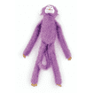 Color Monkey