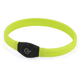 swisspet Collier clignotant et lumineux Fatboy
