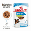 X-Small Puppy Gravy - Frischebeutel