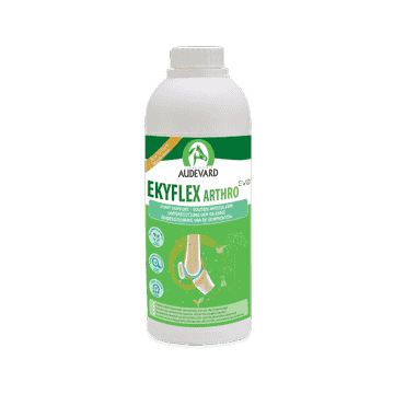 Ekyflex Arthro EVO Solution