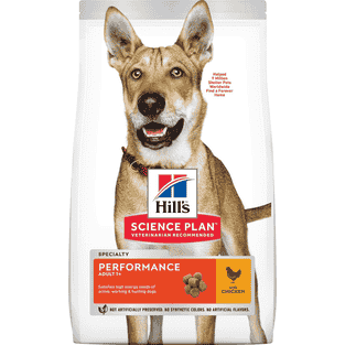Canine Performance Adult